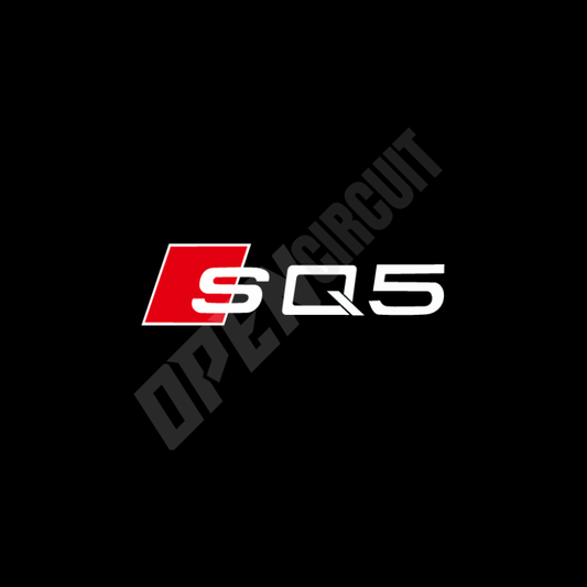 Audi SQ5 Door Emblem Light
