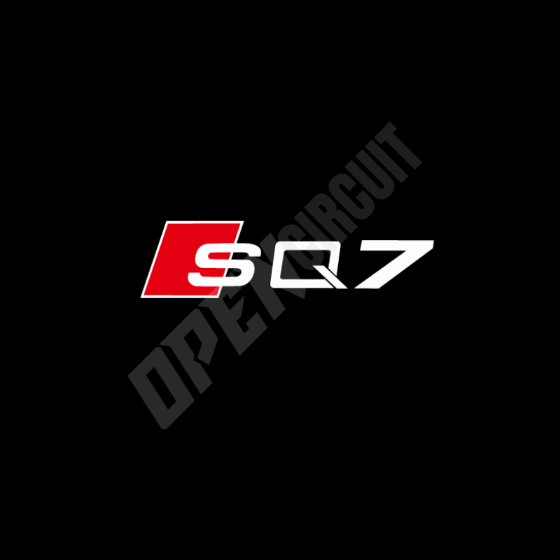 Audi SQ7 Door Emblem Light