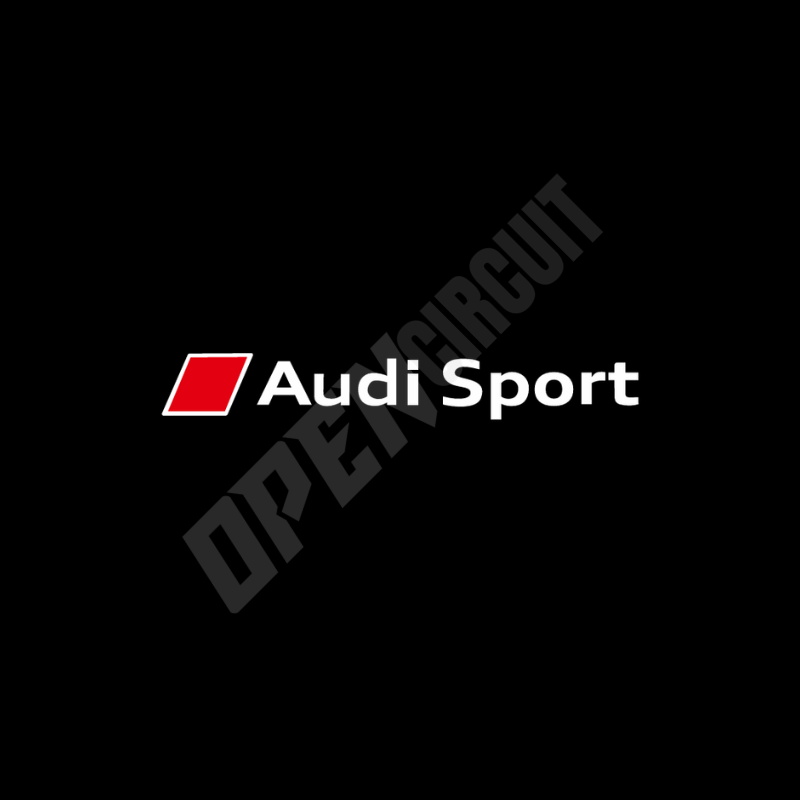 Audi Sport Door Emblem Light