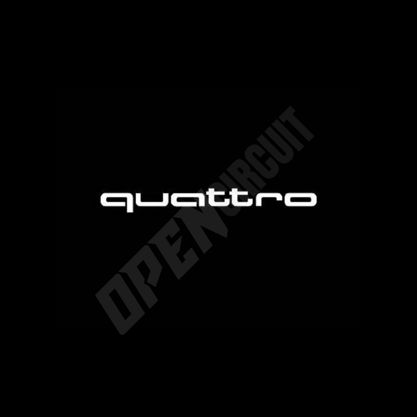 Audi QUATTRO Door Emblem Light